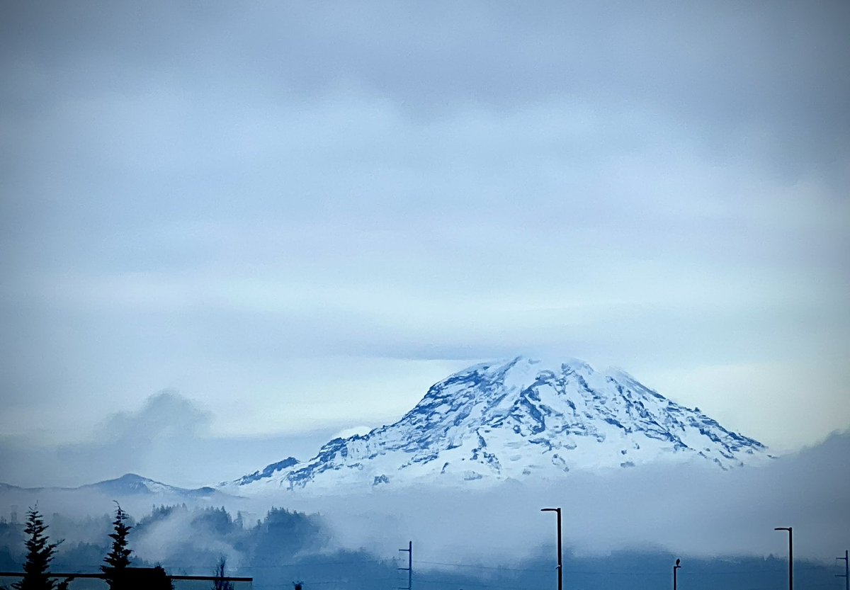 Cher Scarlett 🌌 tweet media