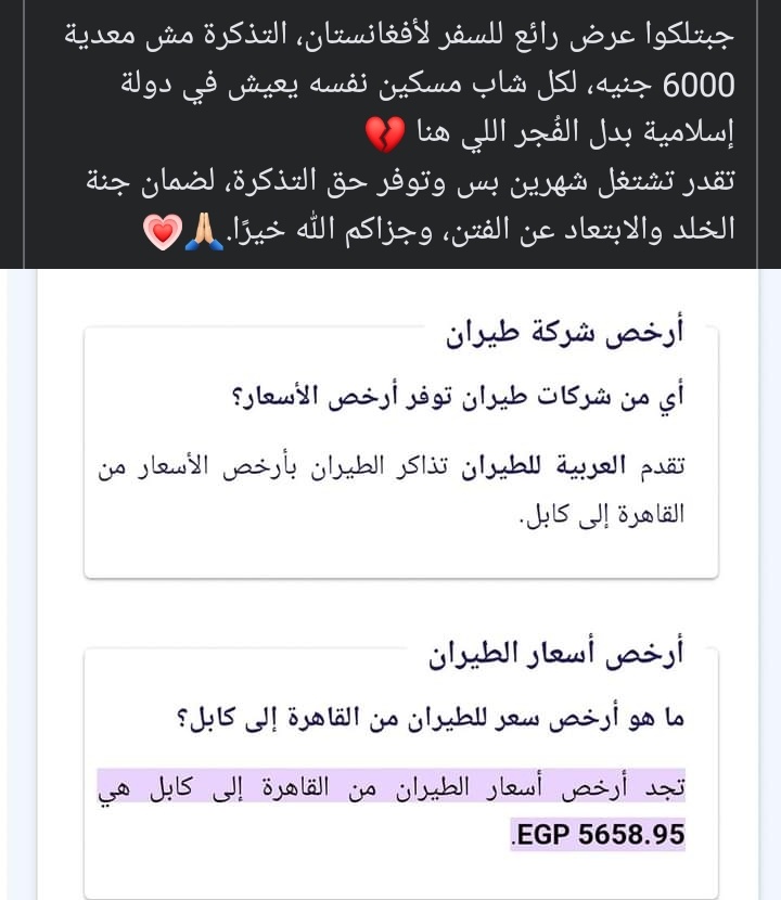 ii_koshary tweet picture