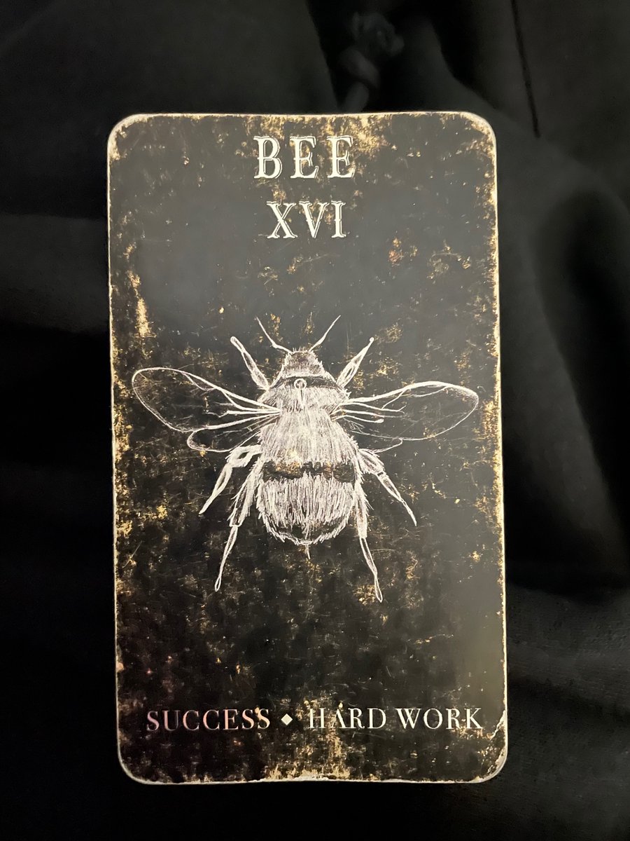 HoneyBee tweet media