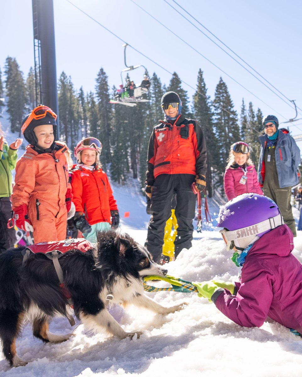 Ski California tweet media