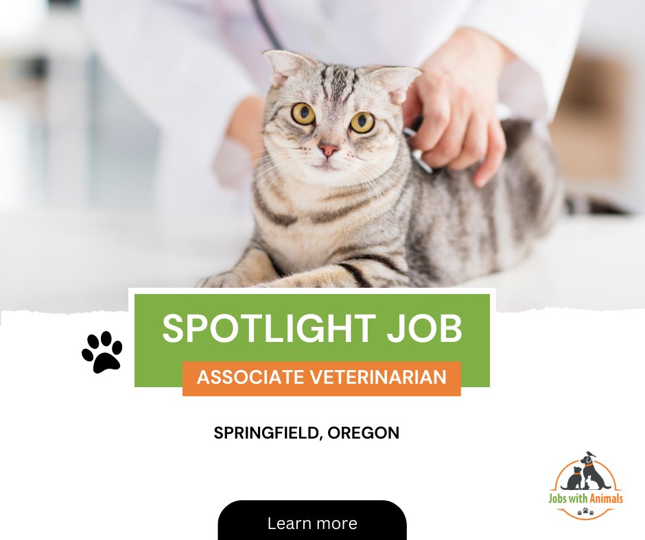 ⭐ Spotlight job ⭐ 
Associate Veterinarian – Springfield, OR 
Learn more here: ow.ly/SlUz50MwzUc

#veterinarians #veterinarian #veterinarianmedicine #veterinarianclinic