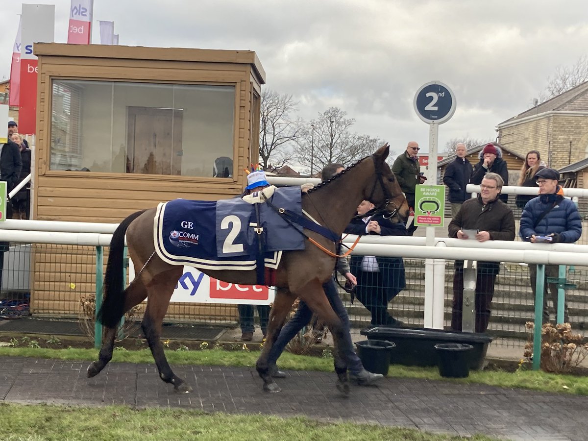 GoldmanRacing's tweet photo. Some pics of calico at the Doncaster races… @gelliott_racing @sam_ewing17 @DoncasterRaces https://t.co/xAxjsXqTdR