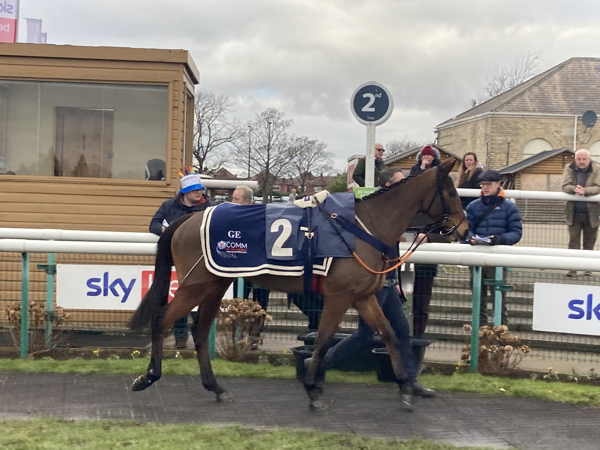 GoldmanRacing's tweet photo. Some pics of calico at the Doncaster races… @gelliott_racing @sam_ewing17 @DoncasterRaces https://t.co/xAxjsXqTdR