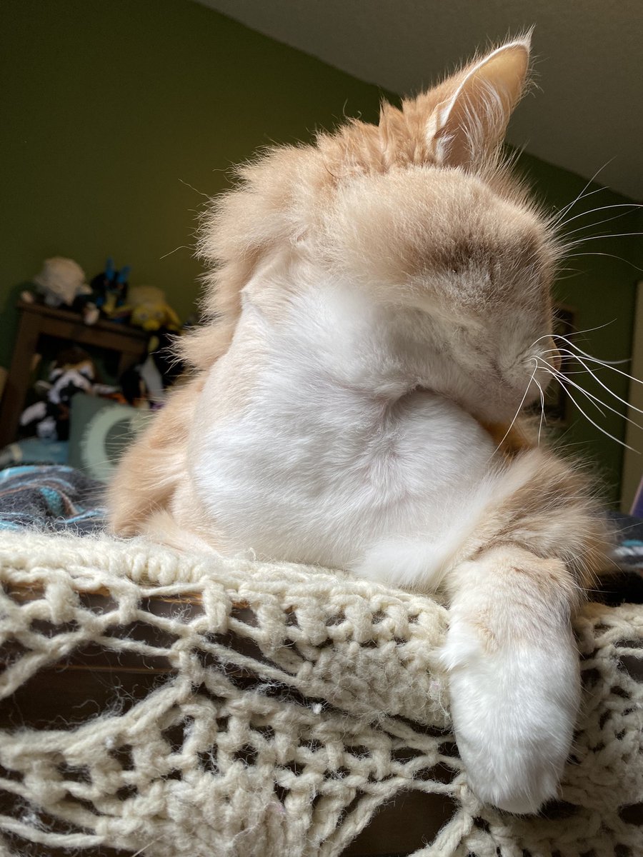 The fur’s growing back pretty fast. He looks even better today.