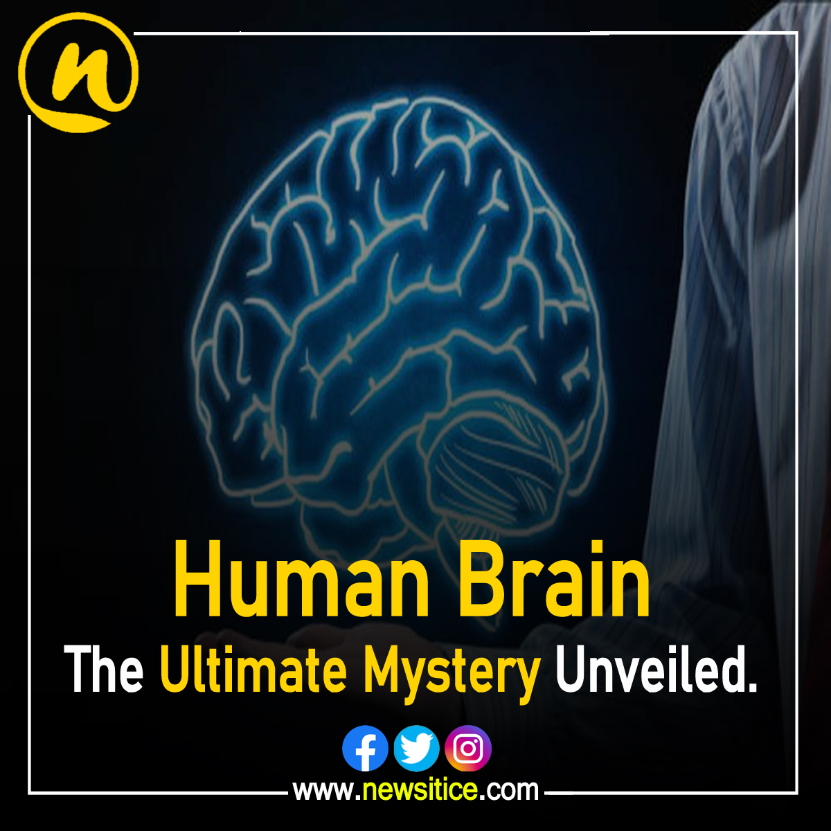 #humanbrain: The Ultimate #mystery Unveiled. | #facts #healthlylifestyle |

newsitice.com/human-brain-th…