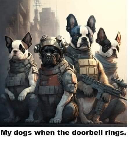 bterrierdogs's tweet photo. My Dogs When The Doorbell Rings
#DogsofTwittter https://t.co/ZuQvsgm1aQ