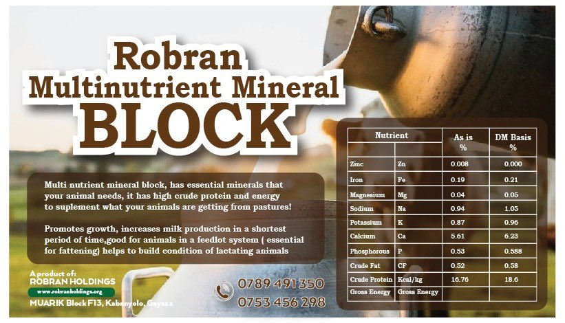 robranmall's tweet photo. Today we Launched official this wonderful muti-Nutrient block for our animals to increase production! 2 years of research. Thanks to Makerere professors who worked with us! Farmers will have more value for money @Thomas_Tayebwa @FrankTumwebazek @DrRwamiramaBK @PS_MAAIF https://t.co/kr3j3m9uaQ