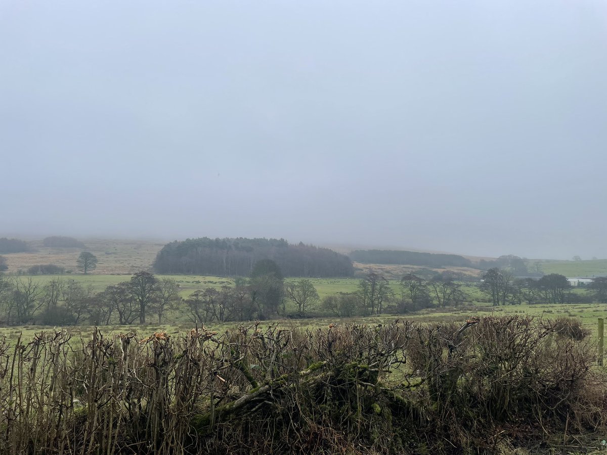 Christie4Sarah's tweet photo. Sometimes countryside and a crazy sister is all you need https://t.co/ioR5heeVMv