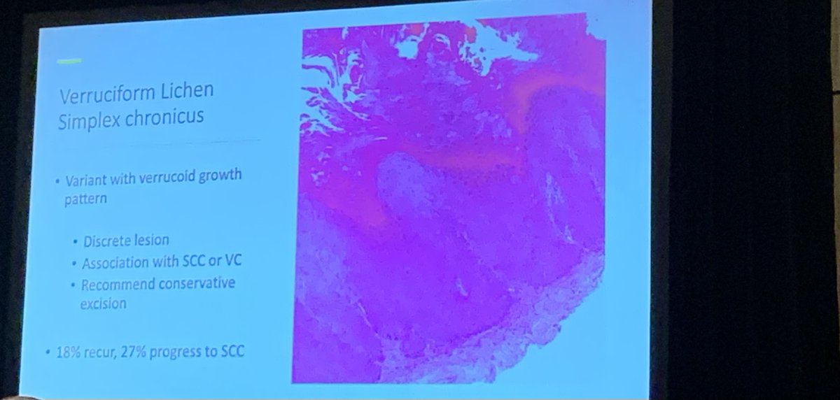 TexPathol's tweet image. #texpathol #TSP2023AM