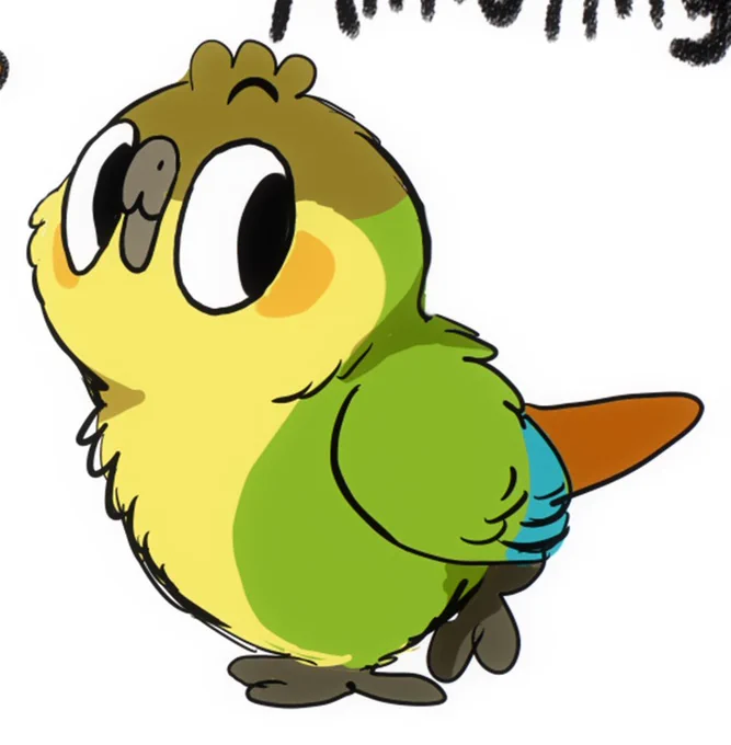 parrot Didi 