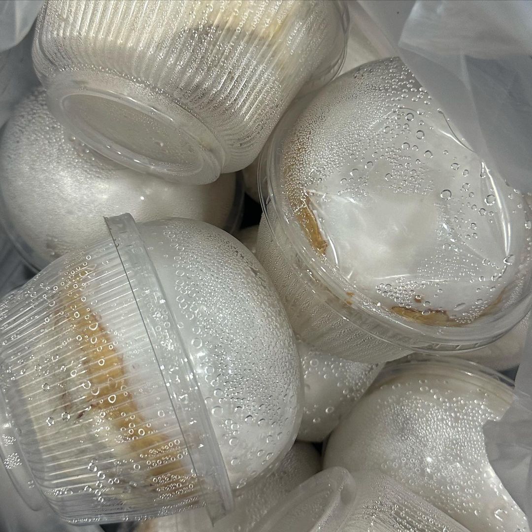 jeffbarcode_l's tweet image. INSTAGRAM
Actualización de Barcode en su cuenta de IG

#barcode #barcodetin #mycode #codesaturn #coconut