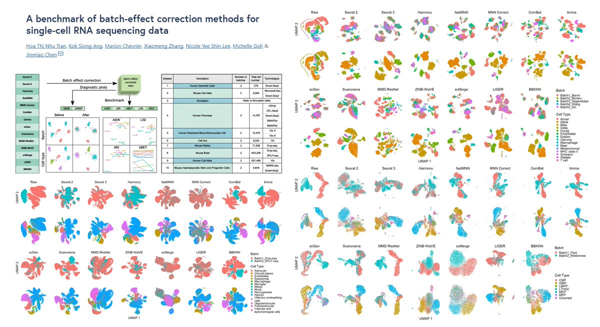 HaoYin20's tweet photo. Learn RNAseq #BatchCorrection, find this powerful paper🤠  (though mine is not scRNAseq)

A benchmark of batch-effect correction methods for single-cell RNA sequencing data

14 methods; 9 datasets

Dr. Jinmiao Chen @GenomeBiology 2020
https://t.co/8miMskFdbK https://t.co/25bzM2COrk