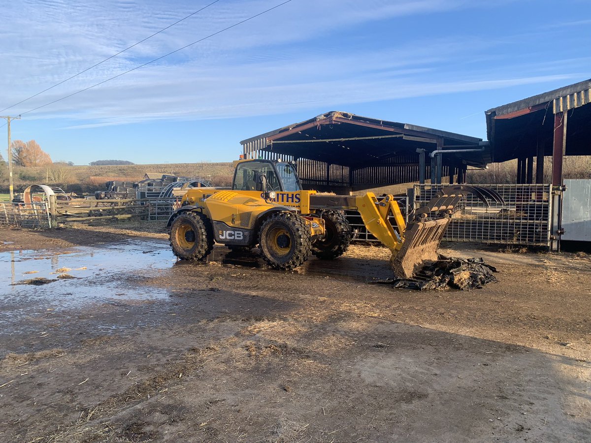 Maximus Pullin tweet media