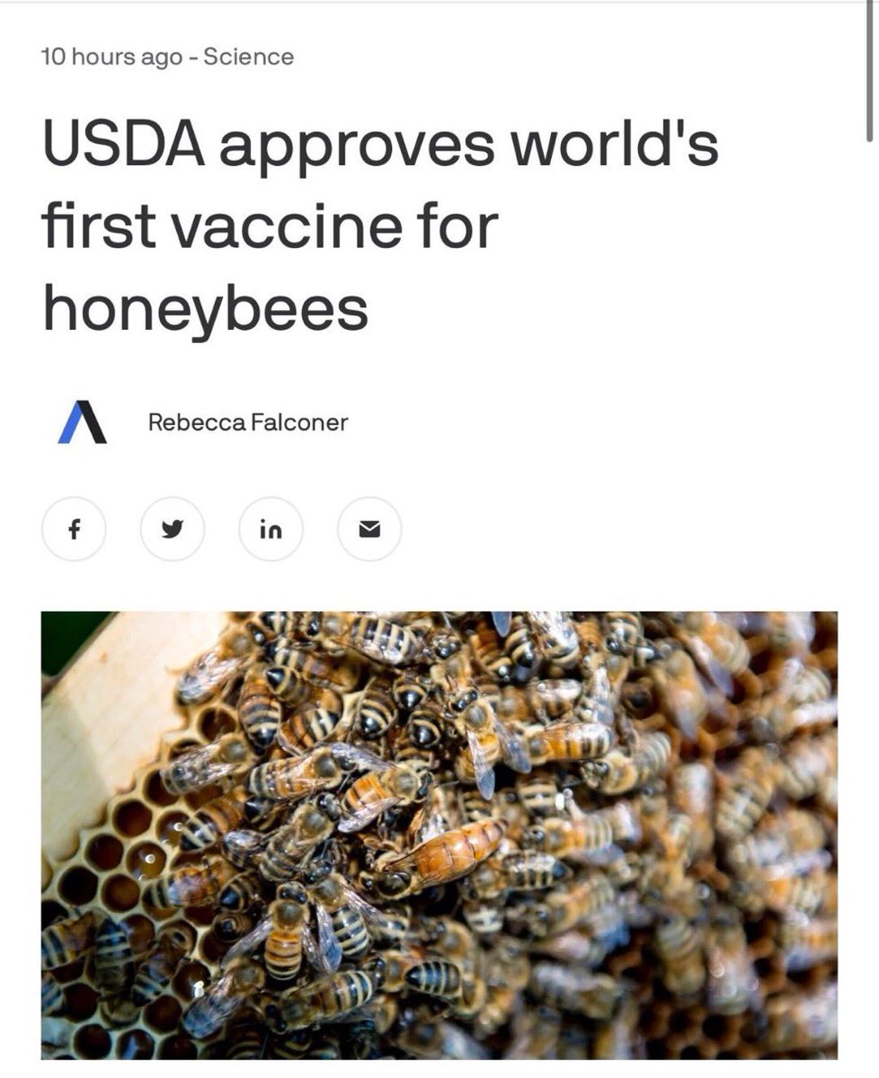 Animus_Diagolon's tweet photo. โThis is an attack on Beelon! The Queen will not be happy about this human transaction. Word is that the bees are about to declare war on humans as humans have encroached too far with this.โ - Messenger ๐
#Beelon #OperationHoneyDoom https://t.co/5mUGsioEDt
