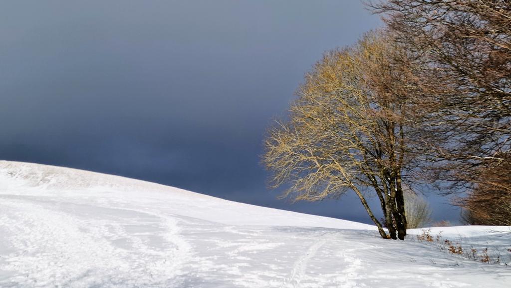 CasalinoManuela's tweet photo. 28 gennaio...Il @parcoantola fino all'imbrunire https://t.co/43RG896zAP