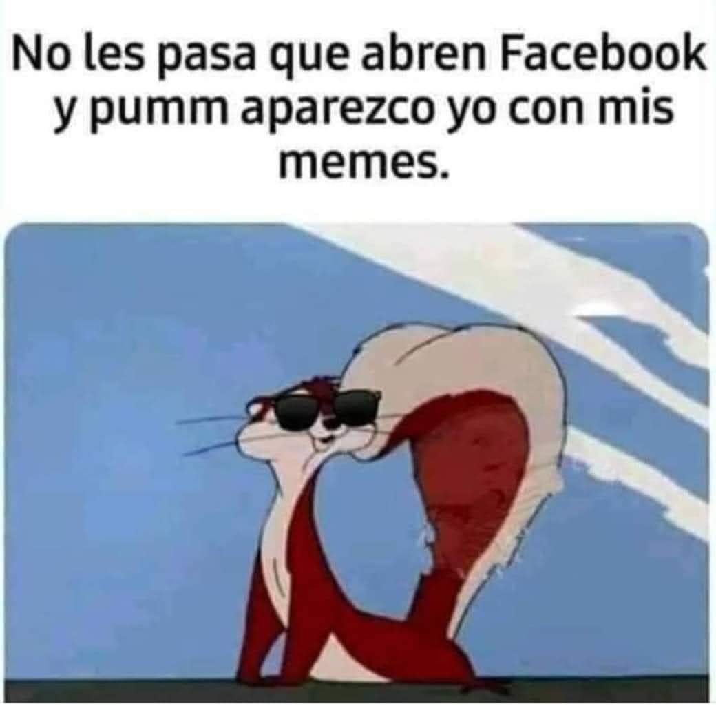 Mnica01163438's tweet photo. #twitter 
#MeVen
Jaja jajajajaja jaja jajajajaja 
#Risas #Fachas https://t.co/lmJTFslsg8