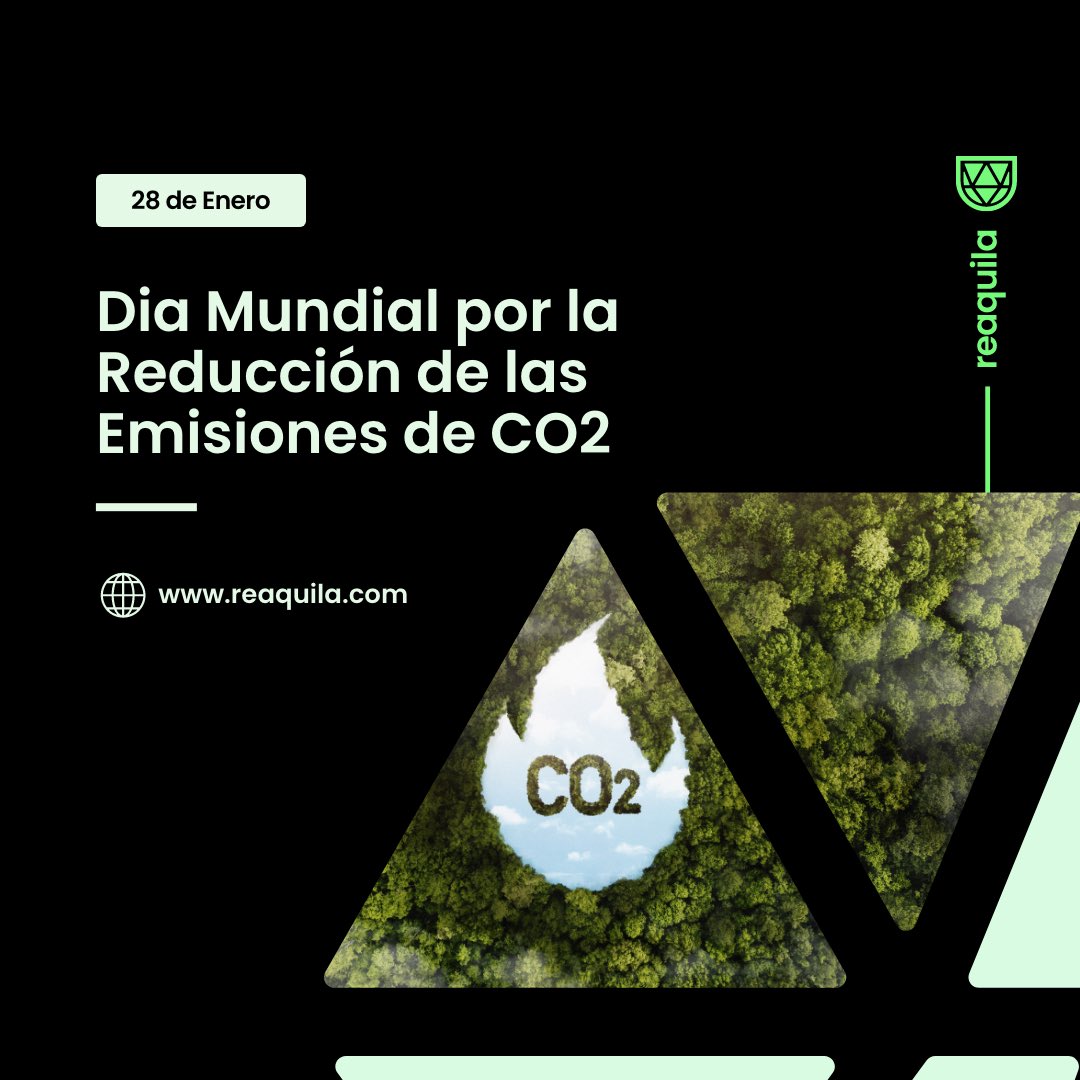 Reaquila 🌎🦅 tweet media