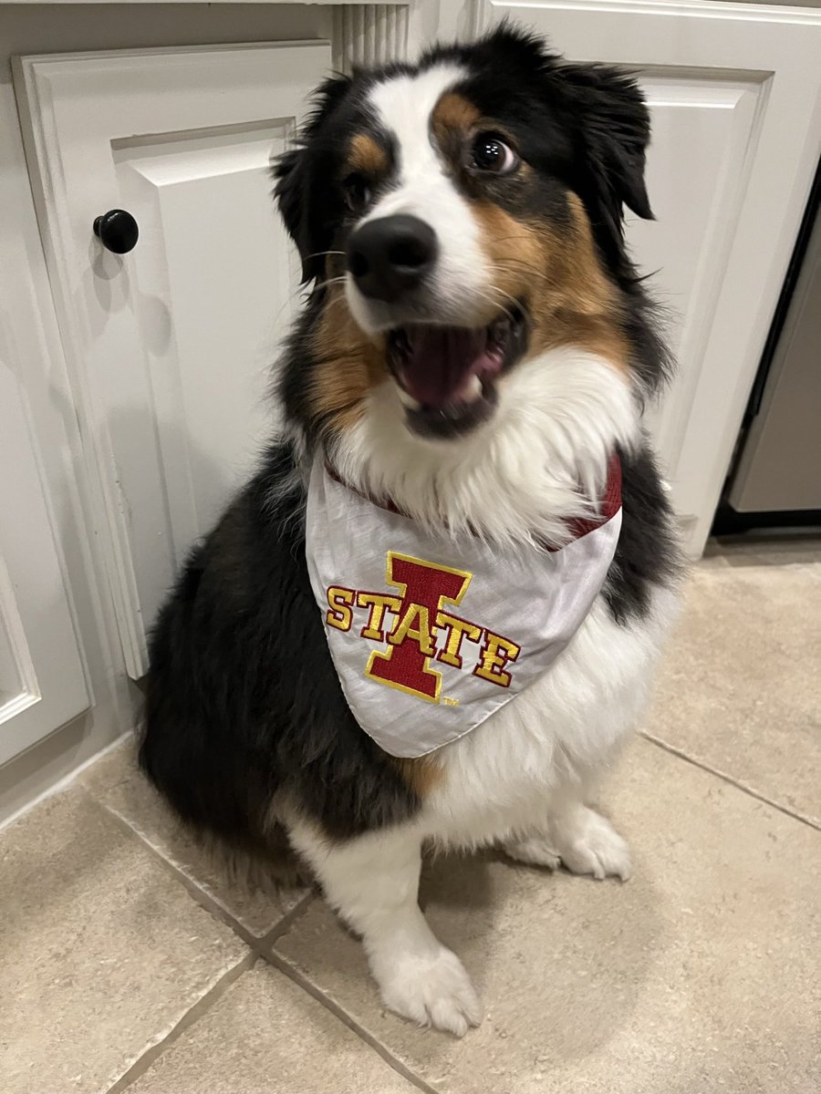 KREE is ready for a cyclone win #cyclonepetclub #CycloneSZN