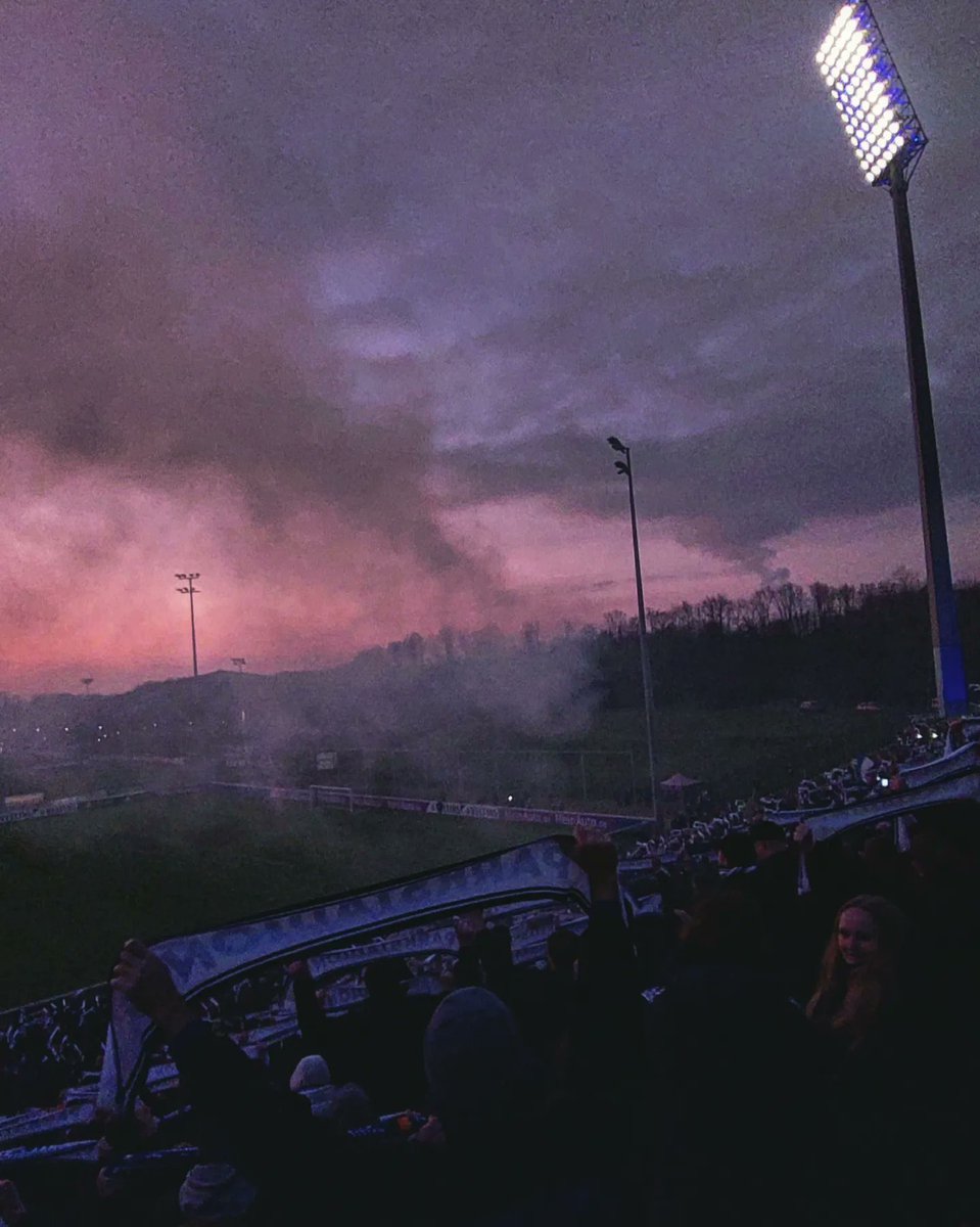 paddingtone tweet media