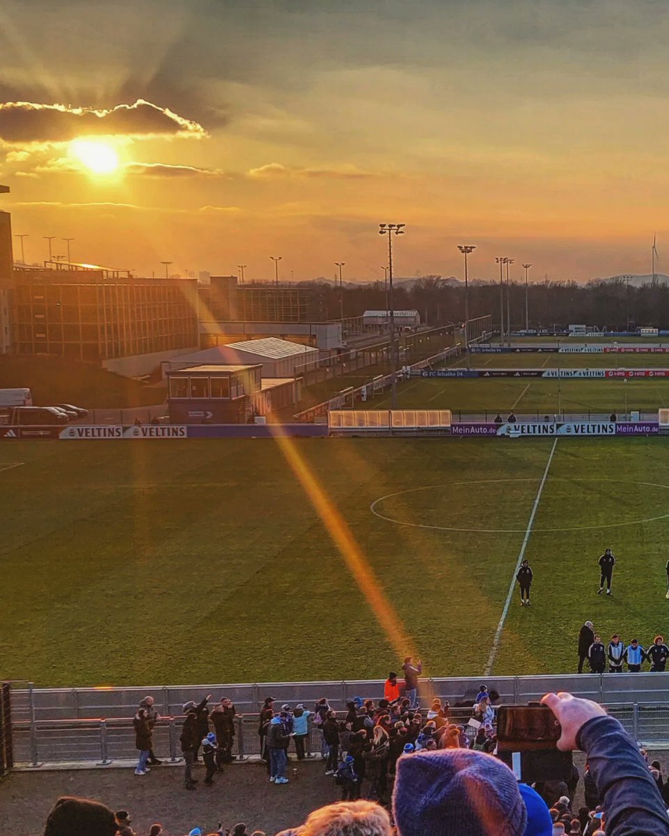 paddingtone tweet media