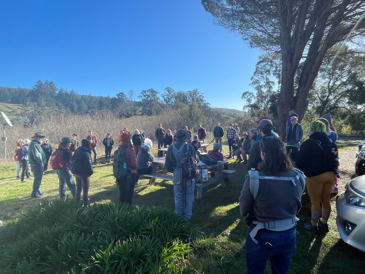 Texosporium's tweet photo. The lichen society meeting at Pt Reyes is off to a great start! #CAlichens https://t.co/blsonCa3L2