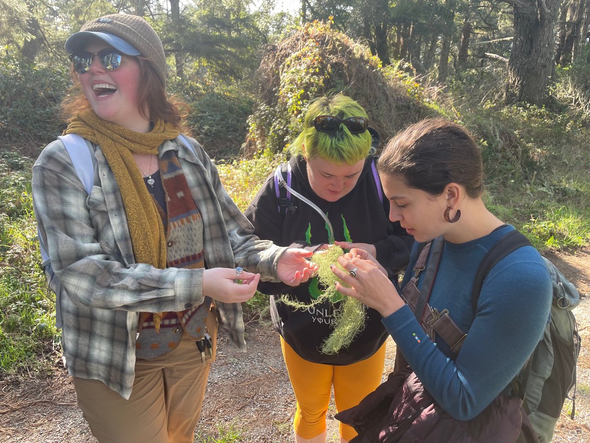 Texosporium's tweet photo. The lichen society meeting at Pt Reyes is off to a great start! #CAlichens https://t.co/blsonCa3L2