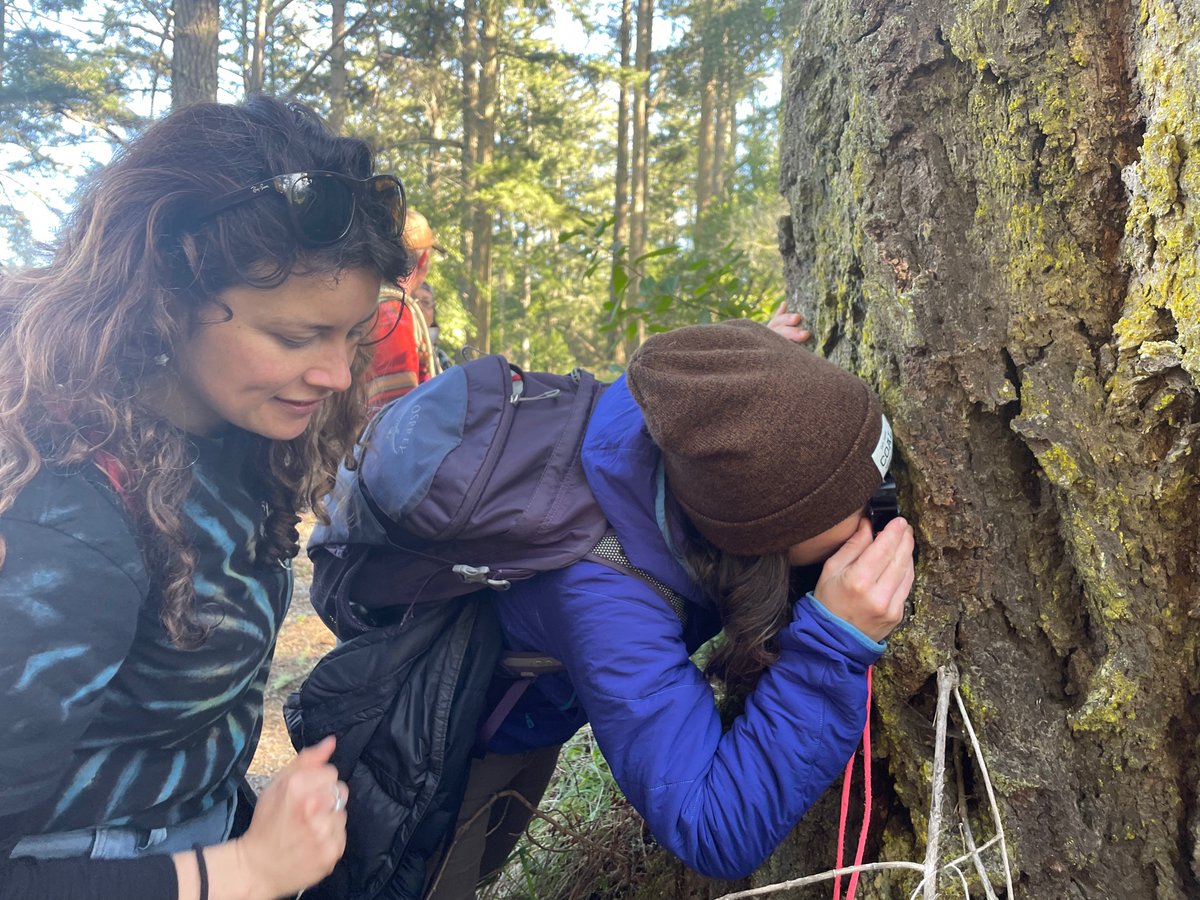 Texosporium's tweet photo. The lichen society meeting at Pt Reyes is off to a great start! #CAlichens https://t.co/blsonCa3L2