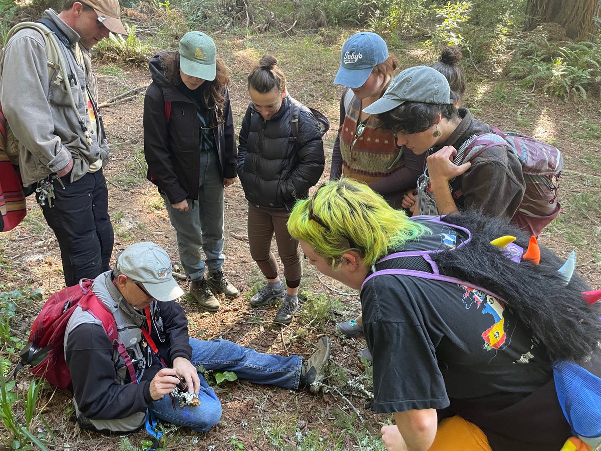Texosporium's tweet photo. The lichen society meeting at Pt Reyes is off to a great start! #CAlichens https://t.co/blsonCa3L2