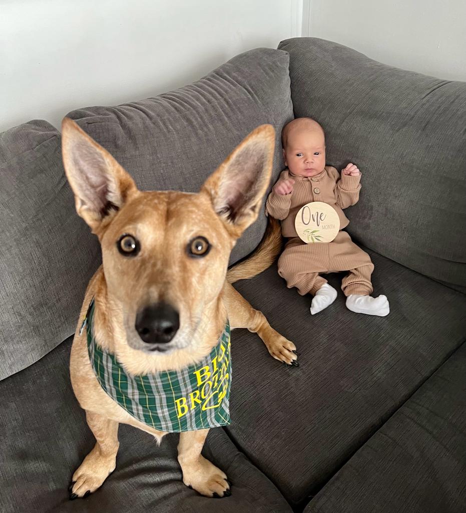 A little late on the announcement, but this little guy is 1 month old today!