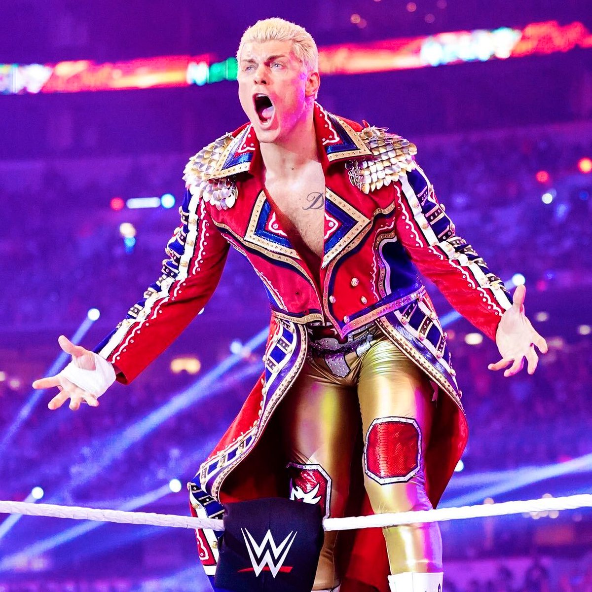 Les Gaulois du Catch tweet media