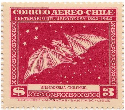 Stamps Bot tweet media