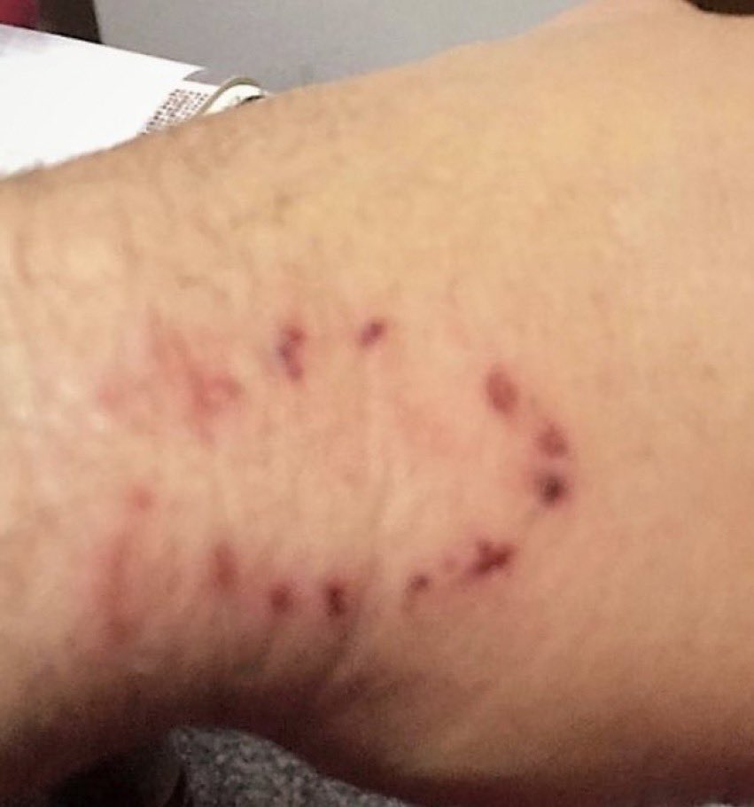 “yo te quiero”
su forma de demostrarlo: