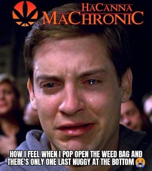 HMChronic's tweet photo. ✌️☮️🧡🔥💨

https://t.co/0gpNZ8gucD 

#HaCannaMaChronic #OurPAINFREEphilosophy #ItMeansGREATWEEDforTheRestOfYourDays #cannafam #goodvibes #GreatWeed #greatday #yqgsmallbusiness #yqg #staylit https://t.co/1LQDJMeTx9