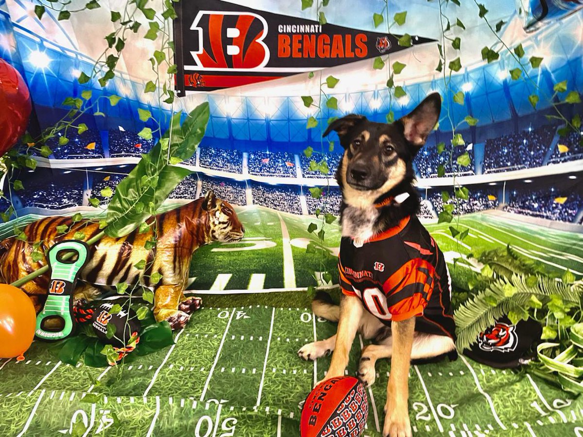 DinnerNumber2's tweet image. #WhoDey