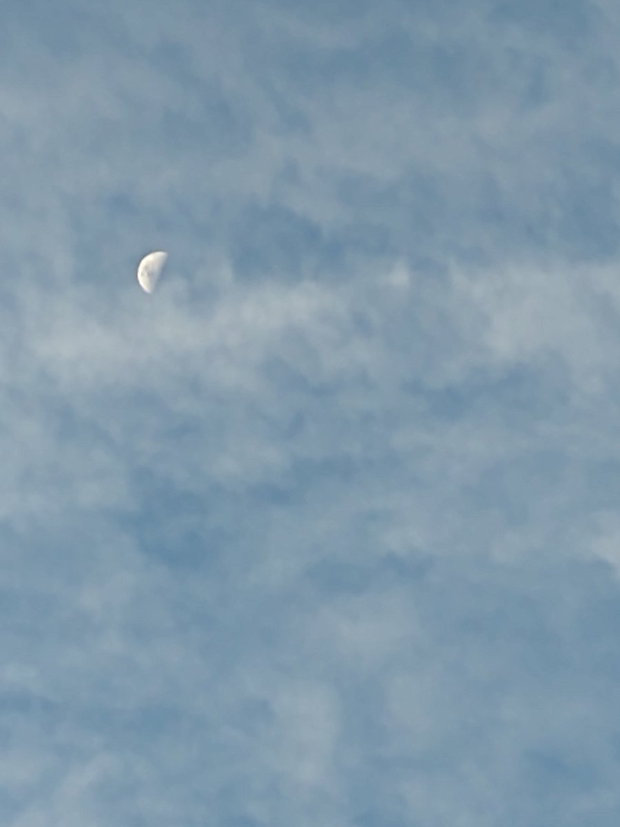 JaciraCruz3's tweet photo. O sol se pois, aos poucos a lua vai tomando seu lugar; prenúncio de uma linda noite que certamente virá!

Mac.

       Linda noite pra você! https://t.co/nczo6Ffhfh