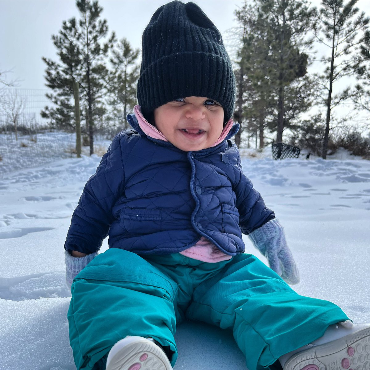 Jeremy Dorr tweet media