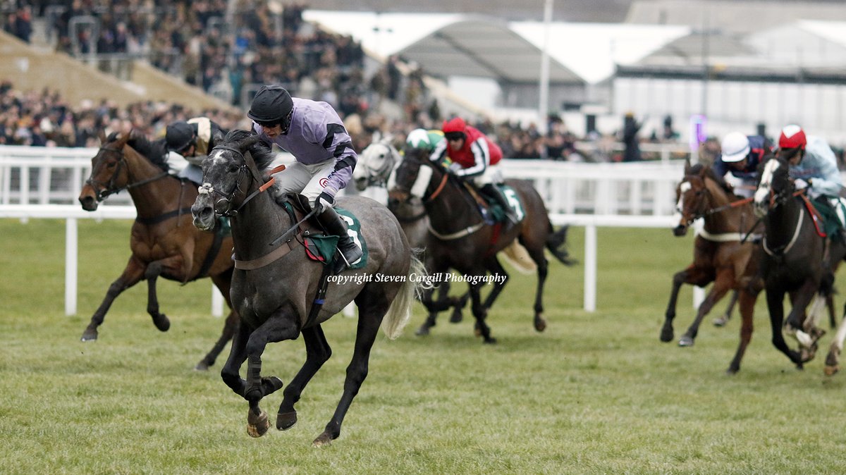 Steven_Cargill's tweet photo. 5th win for 6yo g HACKER DES PLACES @CheledaAngus in 17f handicap hurdle @CheltenhamRaces today for @haraslahetraie Great Pretender @PFNicholls @ownersgroupuk https://t.co/BCg0AxN7OO