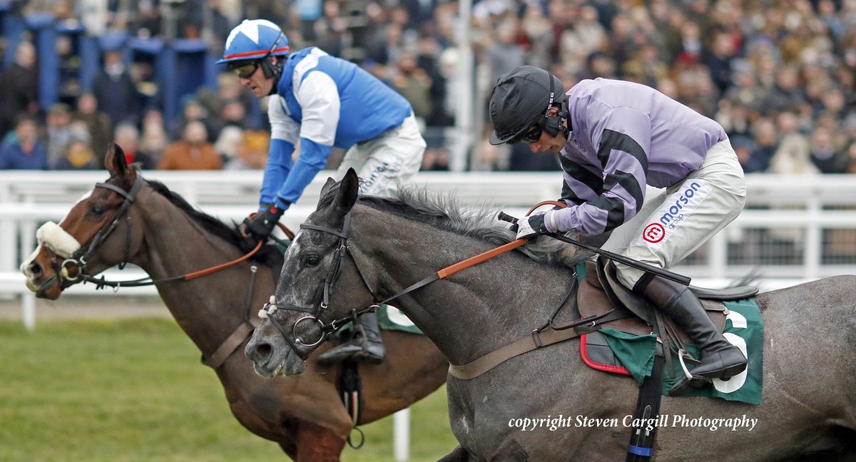 Steven_Cargill's tweet photo. 5th win for 6yo g HACKER DES PLACES @CheledaAngus in 17f handicap hurdle @CheltenhamRaces today for @haraslahetraie Great Pretender @PFNicholls @ownersgroupuk https://t.co/BCg0AxN7OO
