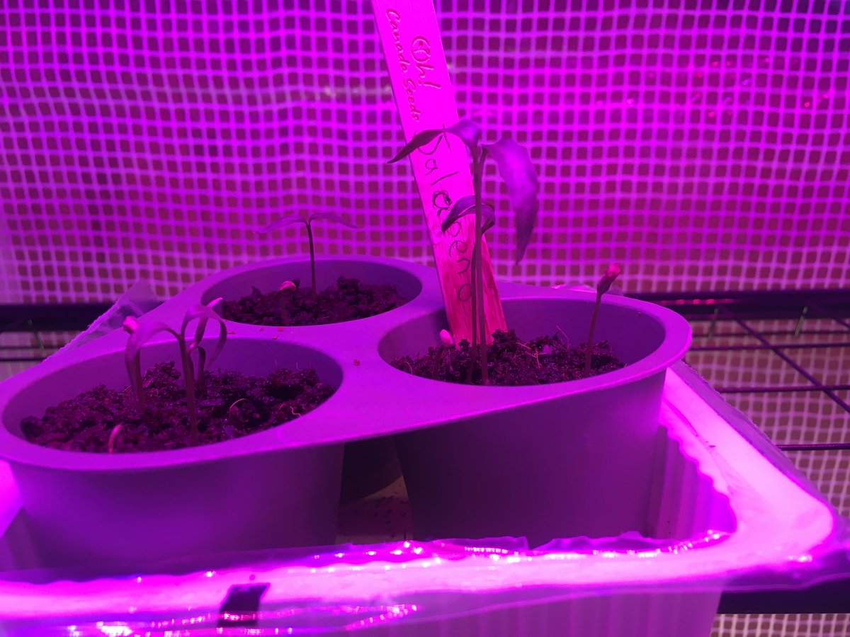 nature_robotics's tweet photo. A fun little side-project that took too much time, but let to some good software for connecting a PC to a BLE-connected device: https://t.co/nMDaC9IkVt https://t.co/hrOs8aNpd7