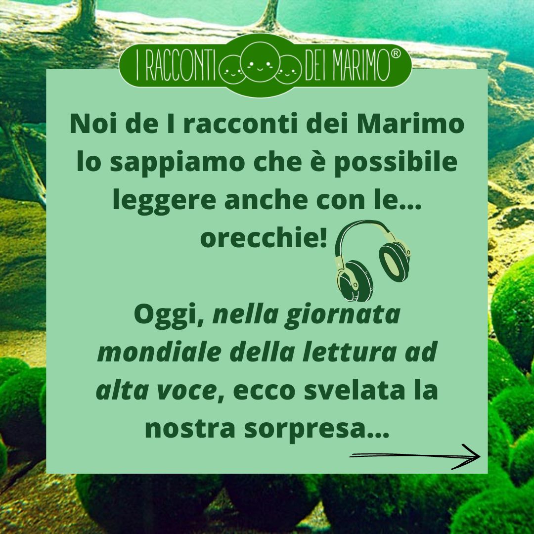 RaccontiMarimo's tweet photo. Scopri la sorpresa!💚

#Marimo #iraccontideimarimo #libridaleggere
#libriconsigliati #libriillustrati #lettureperbambini #libripercrescere #racconti #albiillustrati #raccontiperbambini #albiillustratiperbambini #audiolibro #childrensbookseries #illustratedbook #marimomossball https://t.co/Wh65cxToQ1
