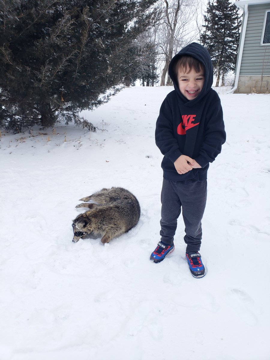 VagasM's tweet photo. It's been so enjoyable seeing Nash more interested in the outdoors. I know how much joy I got from spending time in the wild as a kid.  He is a trapping fool. Badger✔, Racoon✔ and Mink✔. https://t.co/alwMi5v60t