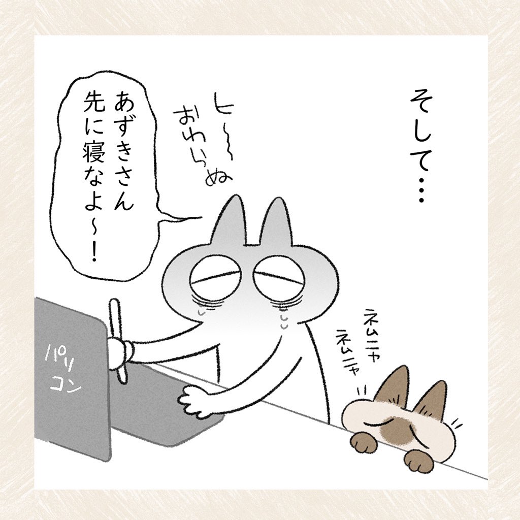 付き合いがいいあずきさん再 #シャム猫あずきさんは世界の中心 