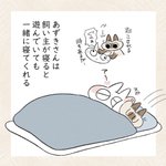 可愛すぎる･･･!一緒に寝てくれて、夜更かしにも付き合ってくれる愛猫のお話!