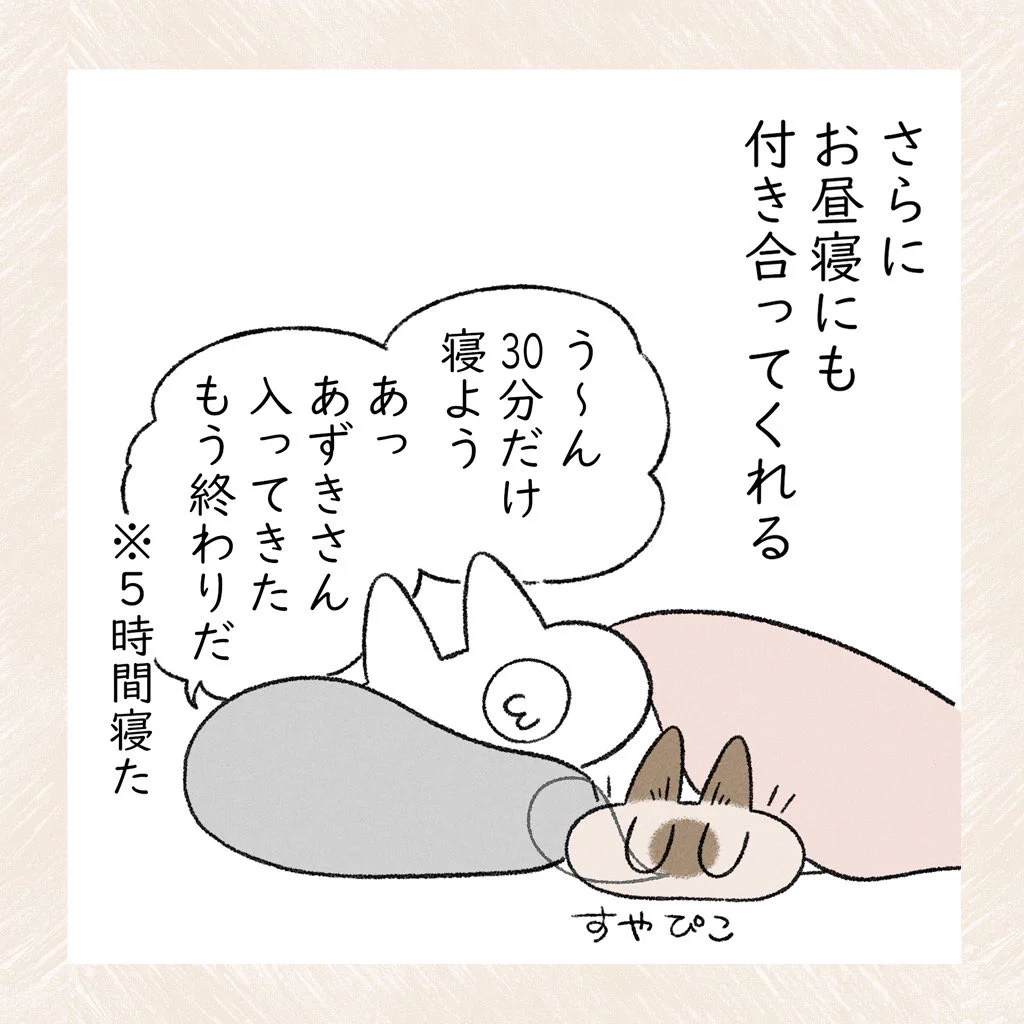 可愛すぎる･･･！一緒に寝てくれて、夜更かしにも付き合ってくれる愛猫のお話！