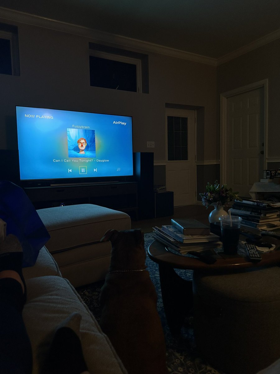 NotGabbyRiggio's tweet photo. Saturday nights alone with Lola https://t.co/sb7WwIflkF