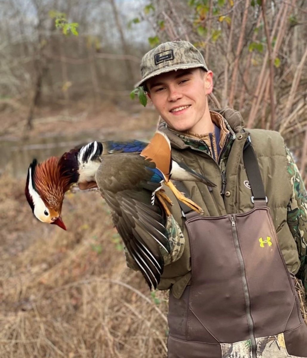 SPORTSMANchnl's tweet photo. "Mandarin or Mandarin x Wood Duck? Shot in Clemson, SC by @willturner_4. - Shared by @splitreed 

What's your take? 

#hunting #duck #ducks #duckhunting #waterfowl #waterfowlhunting #waterfowler #woodduck #mandarin #southcarolina https://t.co/ALyRlLooWo
