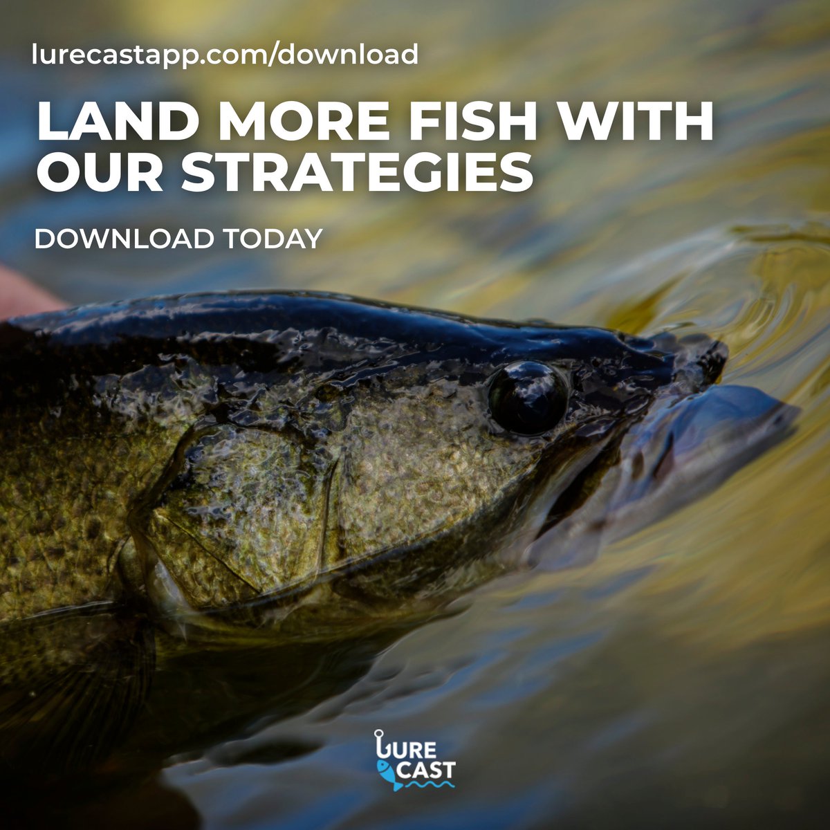 lurecastapp's tweet photo. Don't waste time trying to figure out the best lures for your location - the Lure Cast app has you covered with expert recommendations and strategies! #bassfishing #fishing #LureCast https://t.co/J3UFzYpFq6