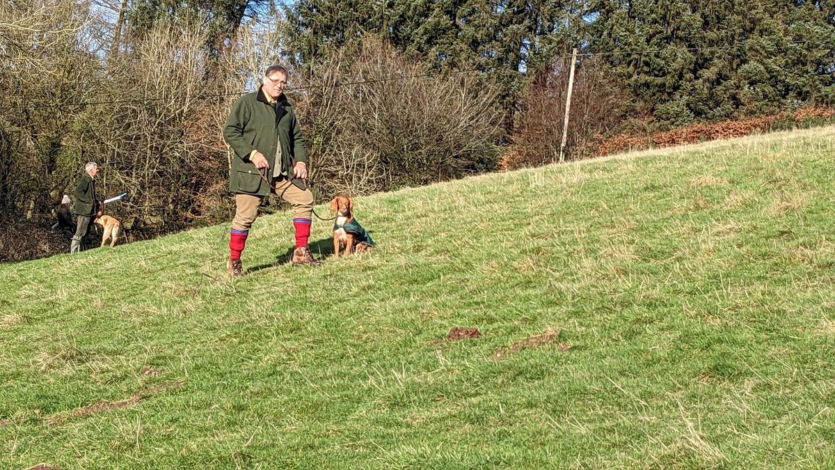 StevenPriscott's tweet photo. @sonianolten …I aspire to Breeks… https://t.co/IgLPTBtbC9