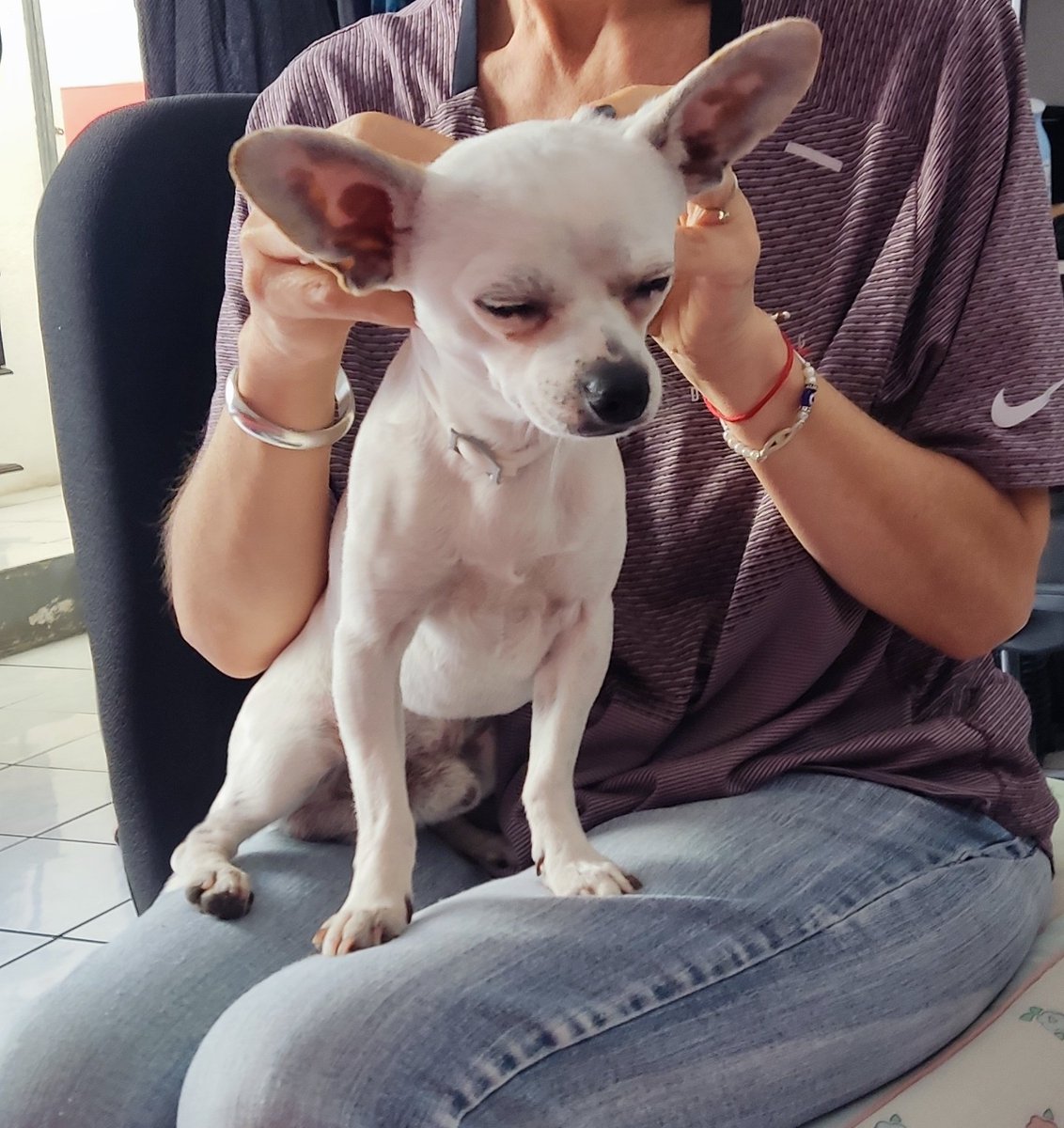 El Mofo del Fomo tweet media