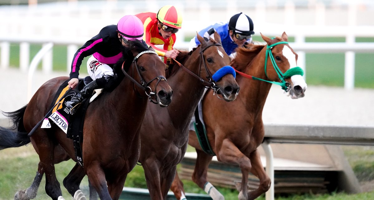 Congratulations to #ArtCollector and jockey Junior Alvarado on winning the #PegasusWorld Cup (G1) presented by <a href="/Baccarat/">Baccarat</a> for trainer Bill Mott!